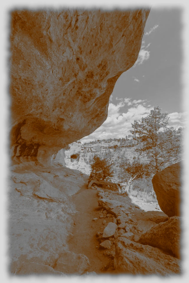 Mary Pilgrimage 204 Mary Pilgrimage 204