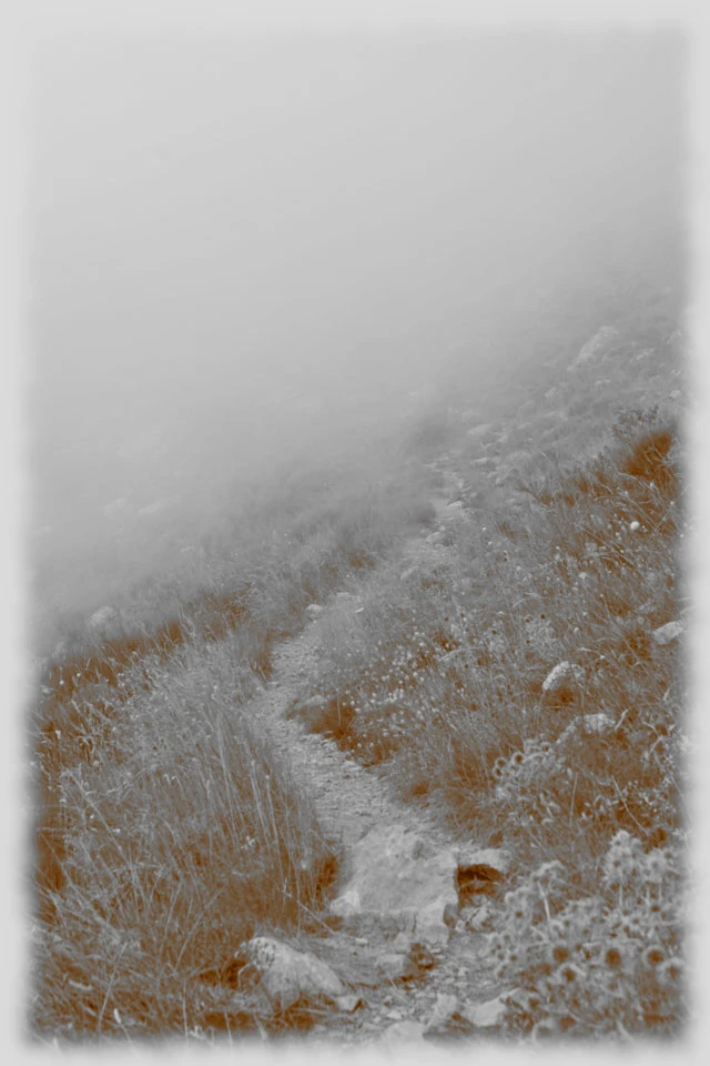 Mary Pilgrimage 222 Mary Pilgrimage 222