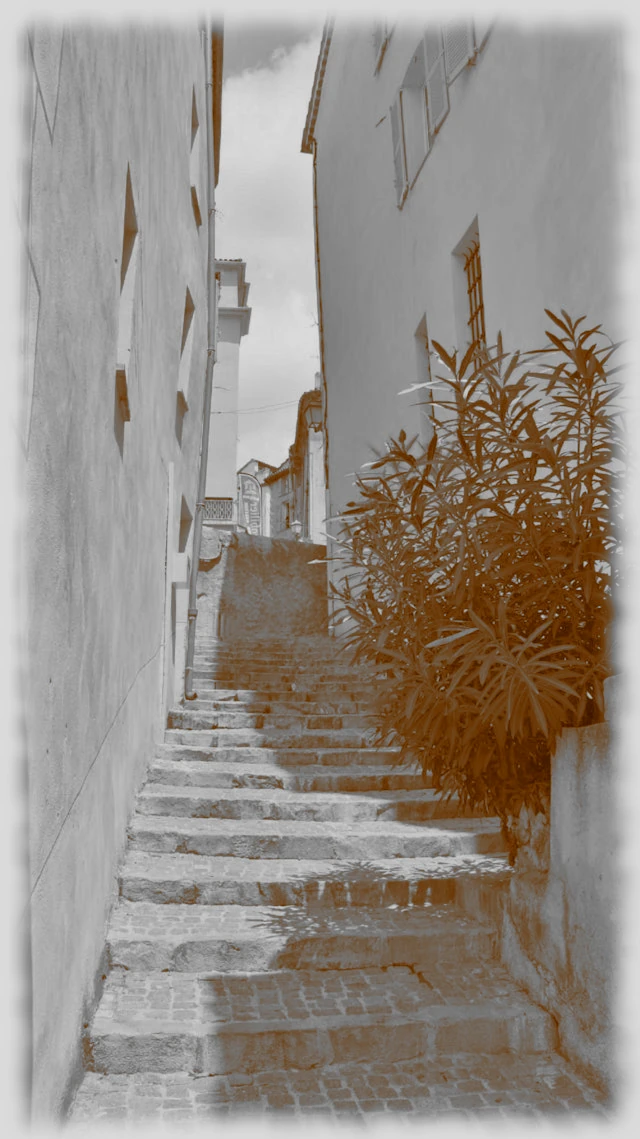 Mary Pilgrimage 228 Mary Pilgrimage 228