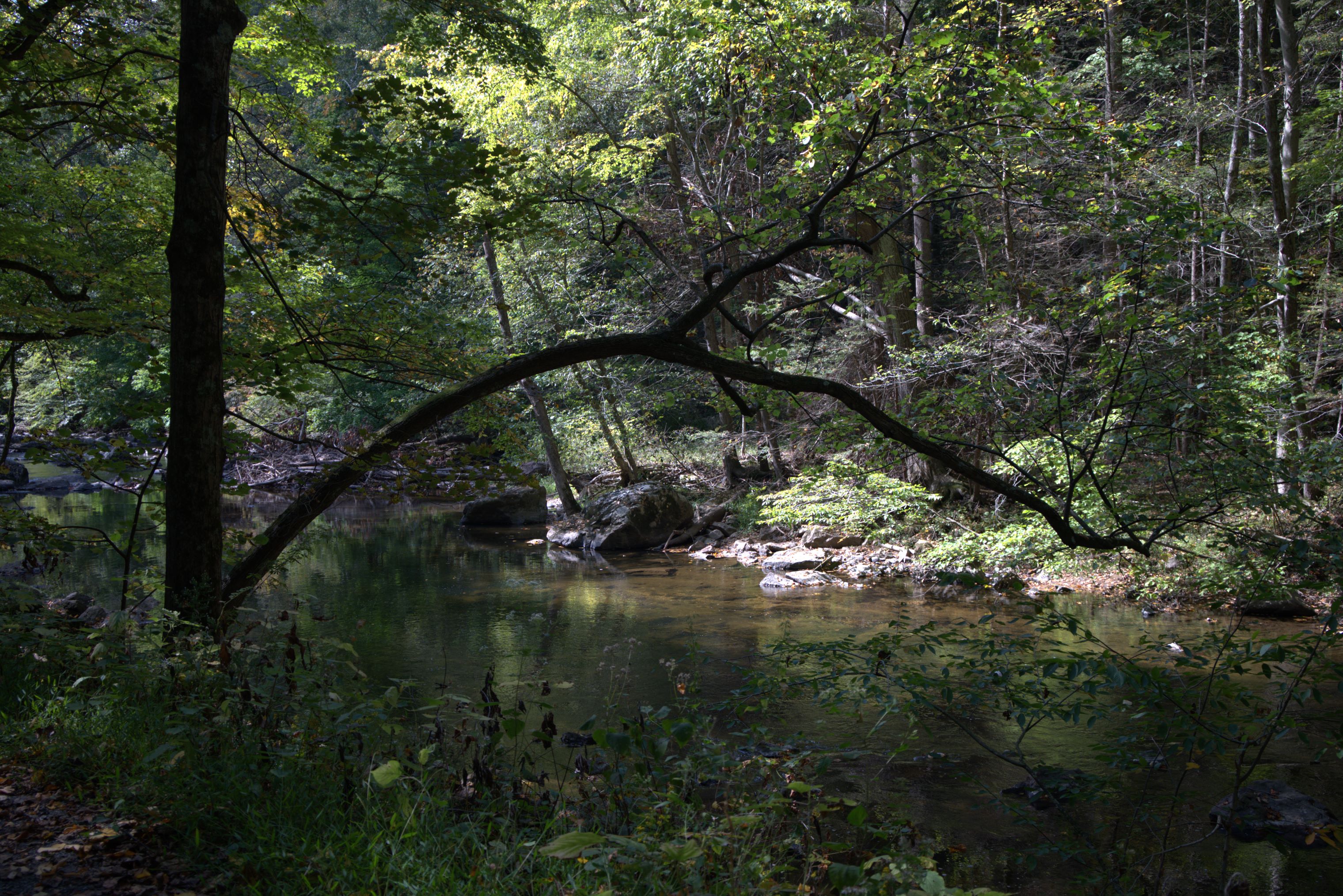 Califon Trails 308 Califon Trails 308