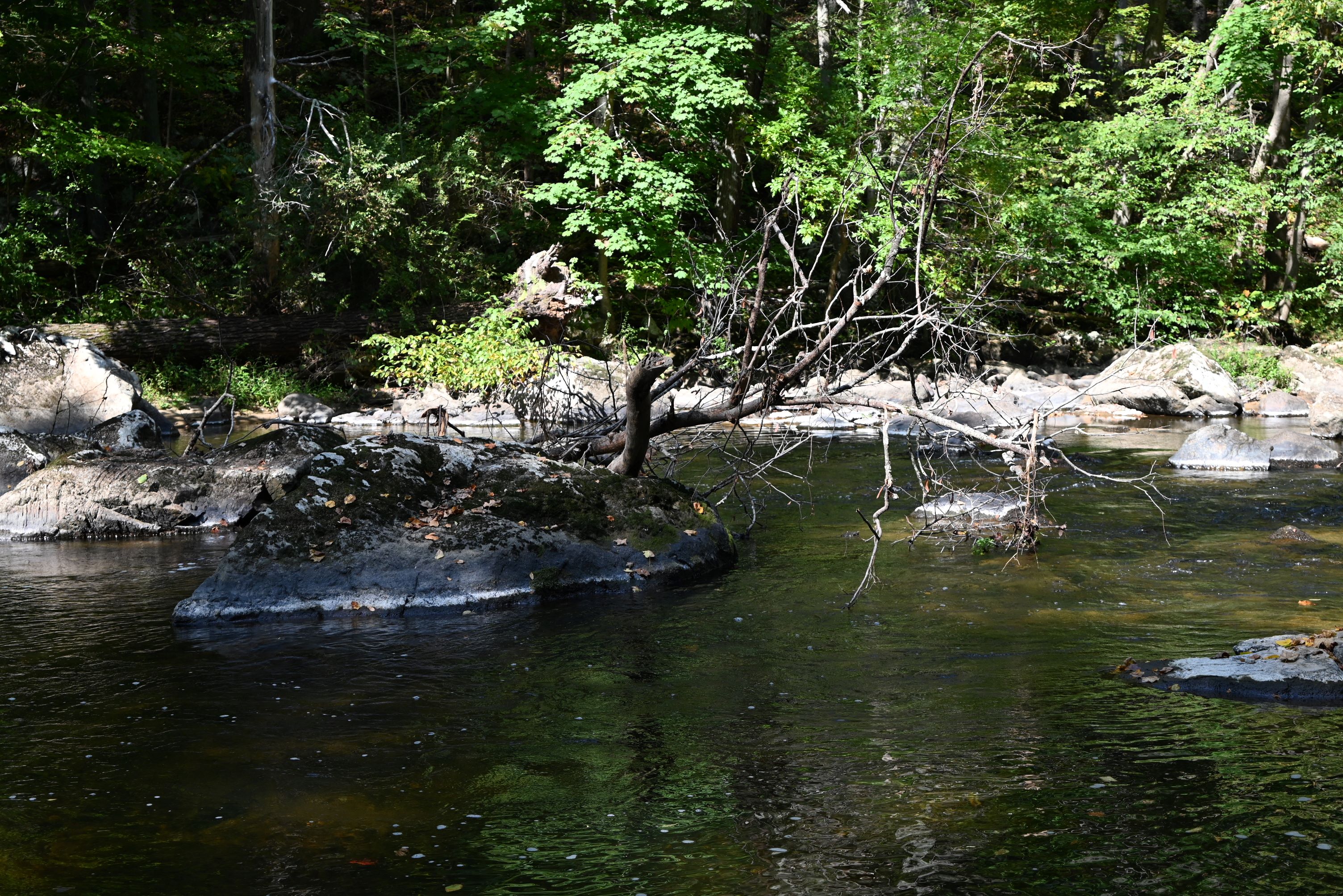 Califon Trails 312 Califon Trails 312