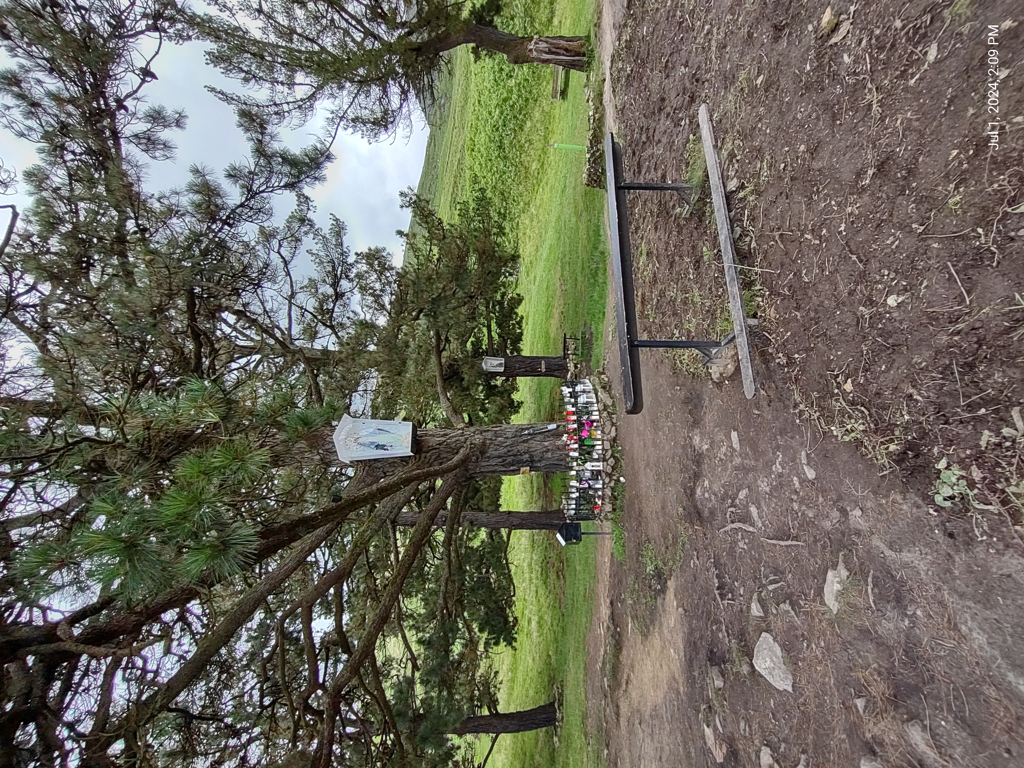 Garabandal 110 Pines