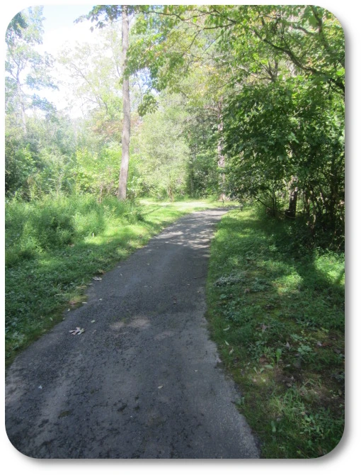 Blue Army Shrine Grounds