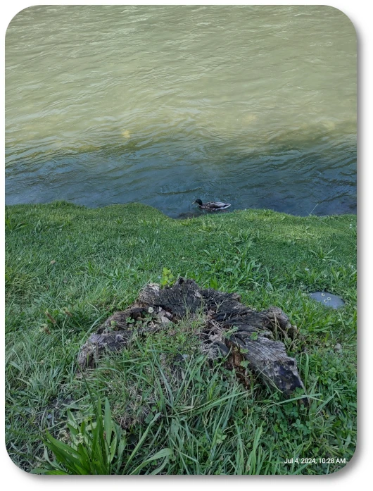 RC Lourdes Grounds 08