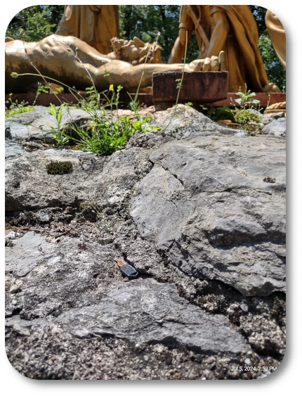 RC Lourdes High 11cc