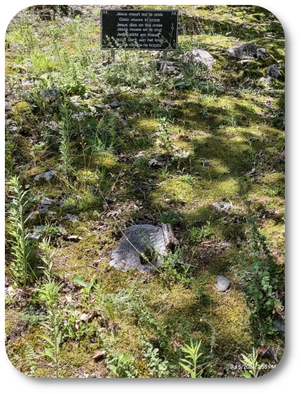 RC Lourdes Sign 12 RC Lourdes Sign 12