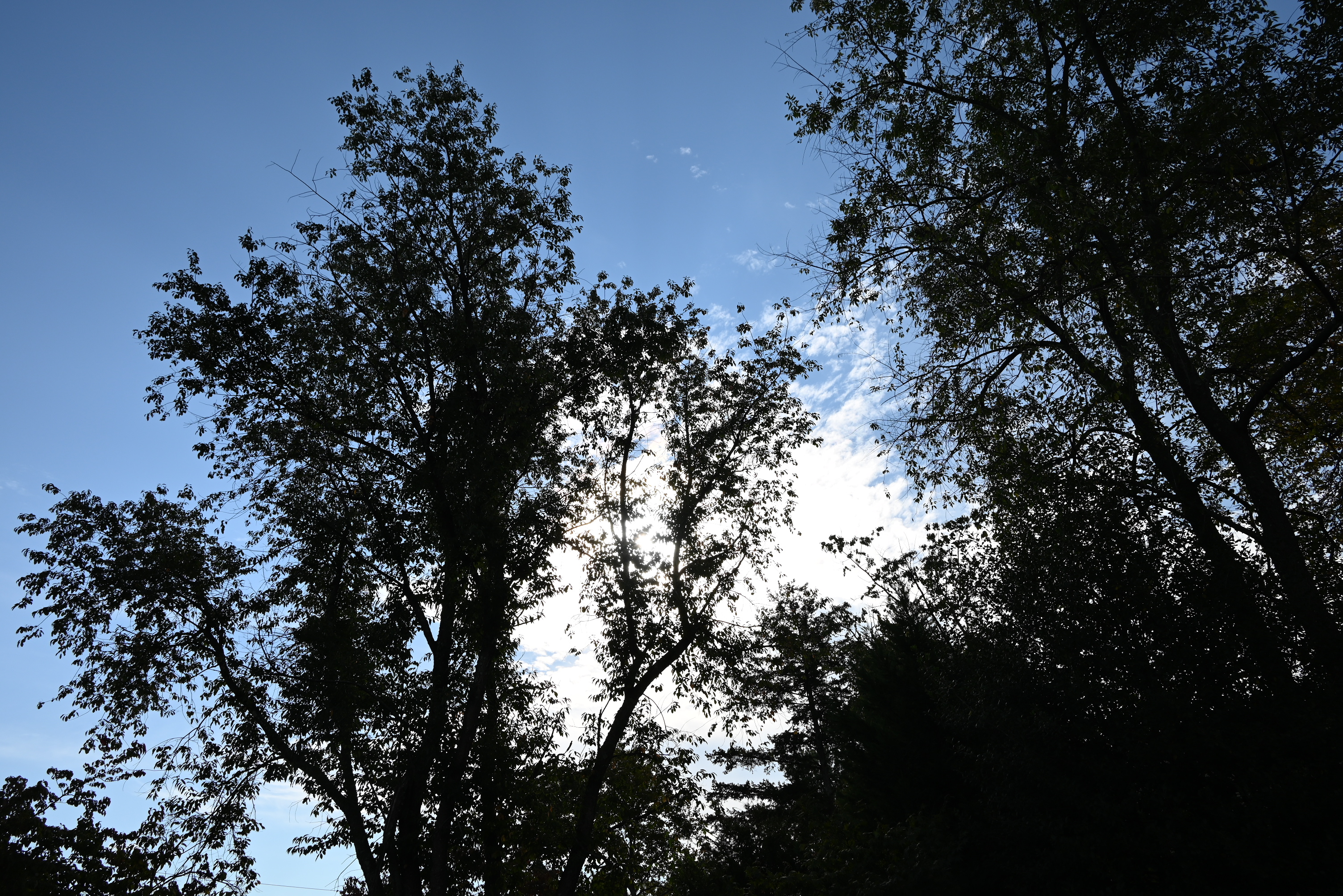 Sky 200 Sky 200