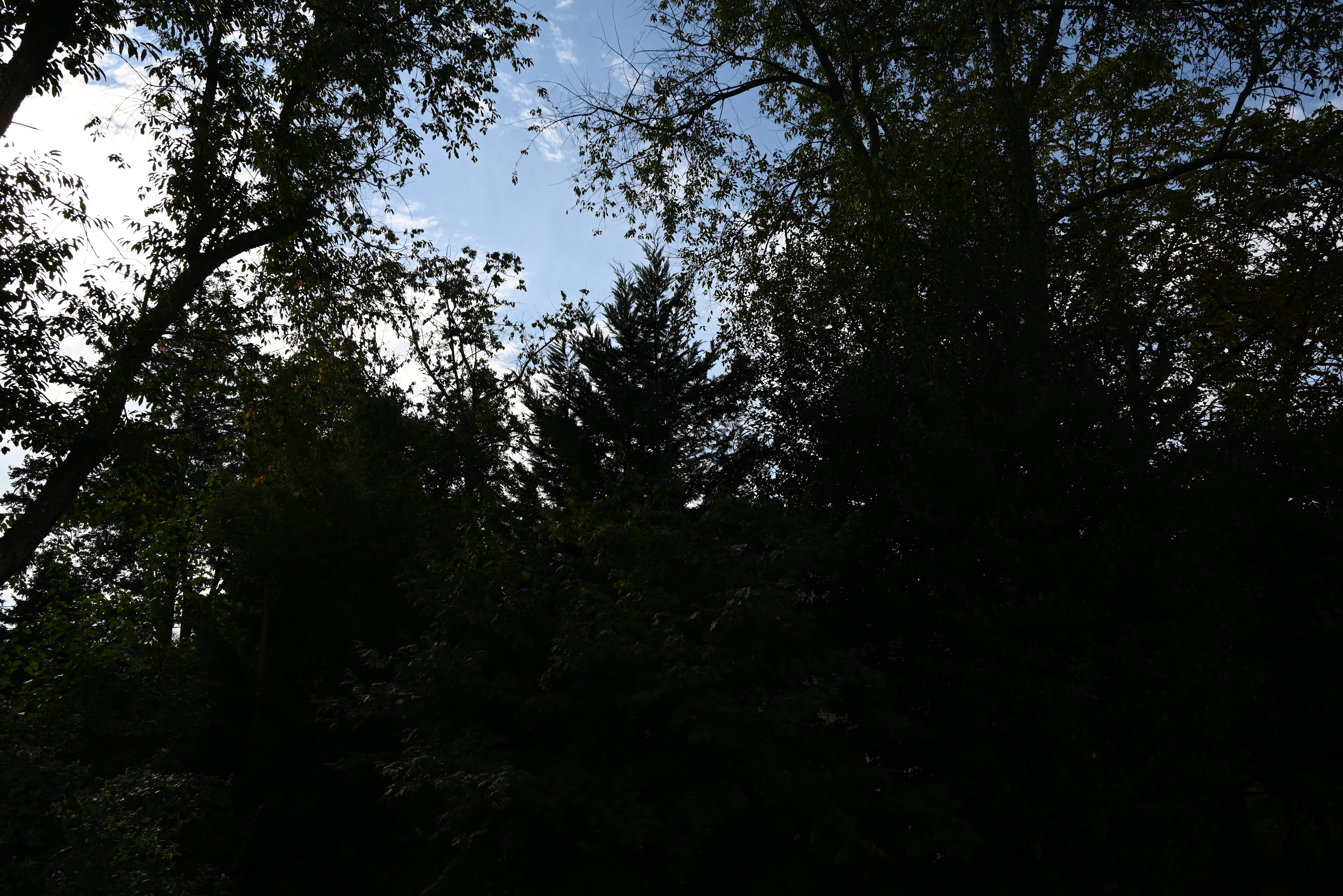 Sky 201 Sky 201