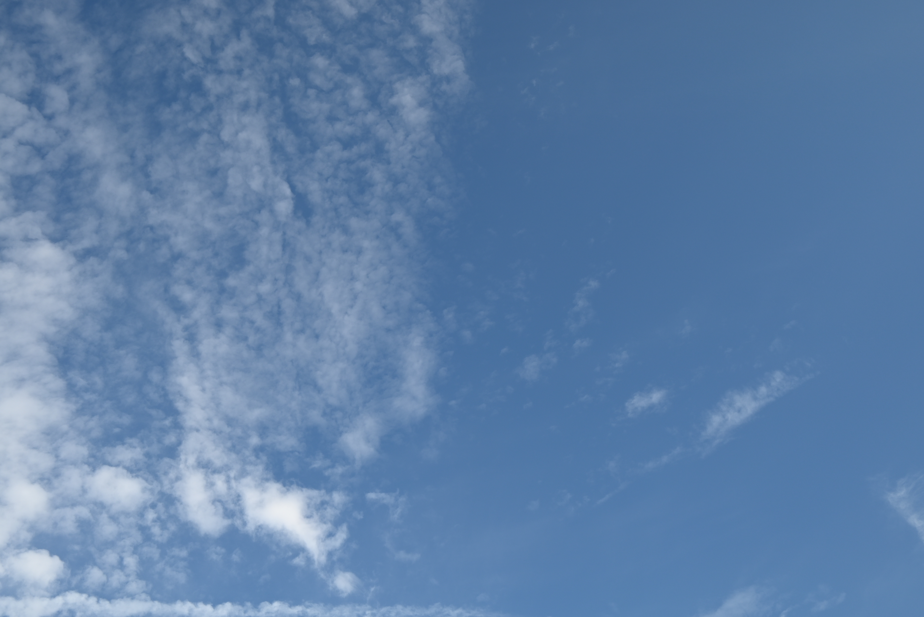 Sky 204 Sky 204