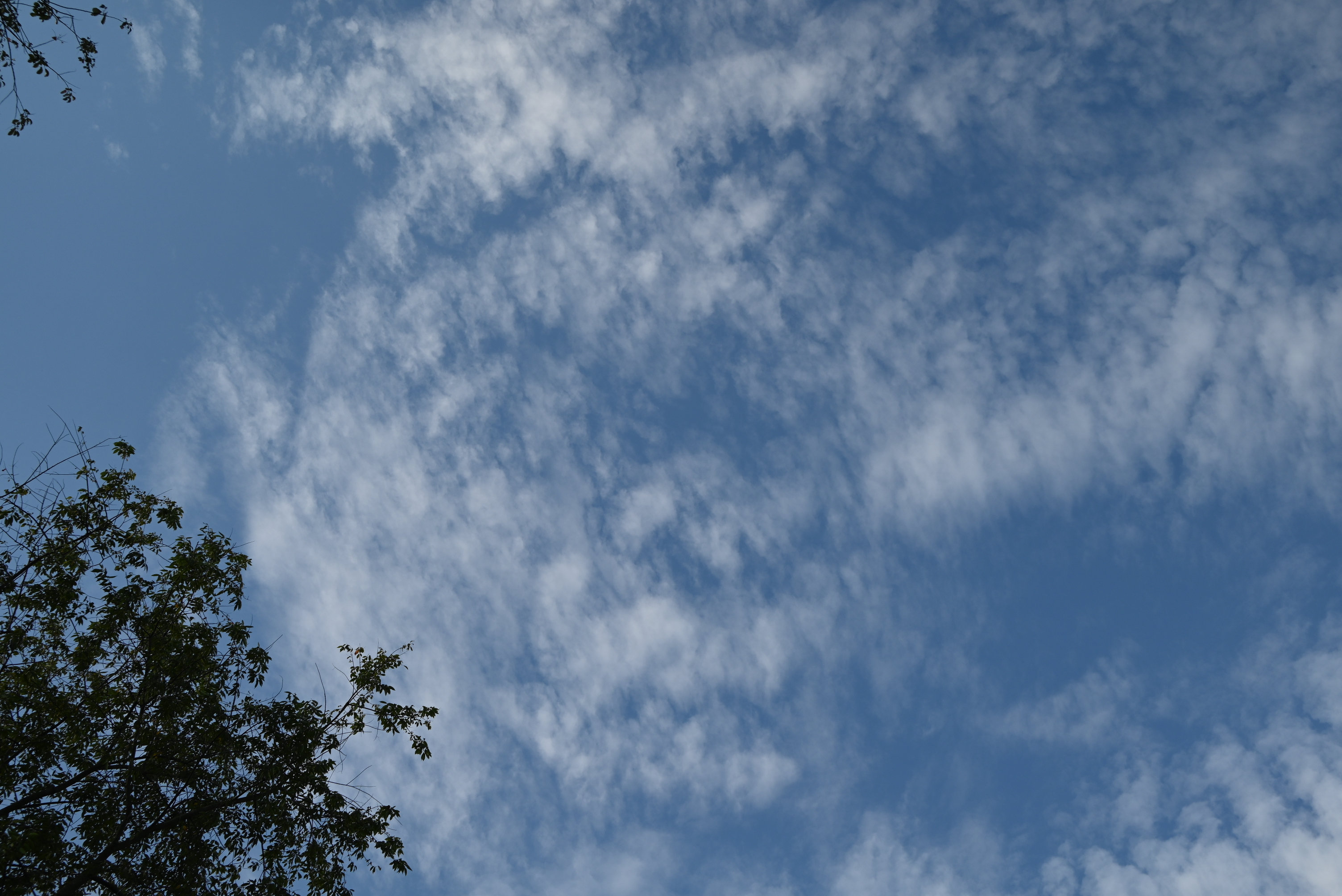 Sky 205 Sky 205