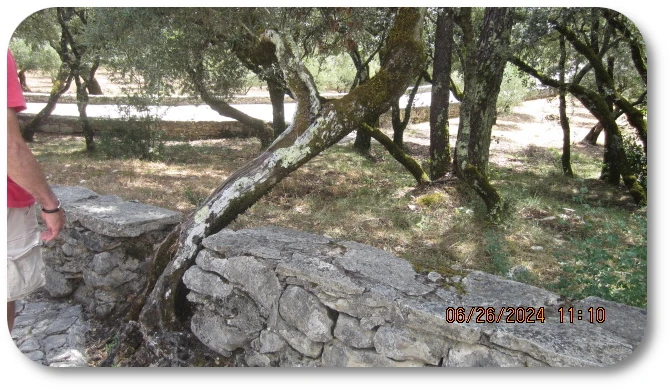 Via Crucis Grounds 05 Via Crucis Grounds 05