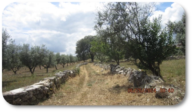 Via Crucis Grounds 06 Via Crucis Grounds 06