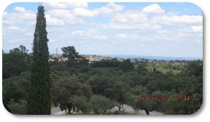 Via Crucis Grounds 08