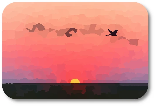 WC Birds a WC Birds a