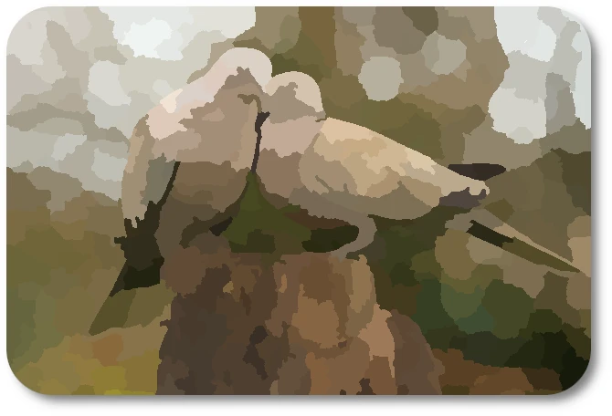 WC Doves 02 WC Doves 02