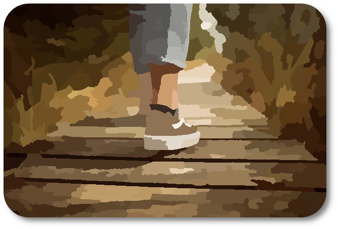 WC Paths 08 WC Paths 08