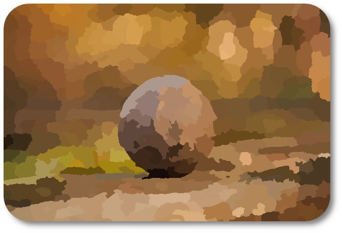 WC Rocks 05 WC Rocks 05