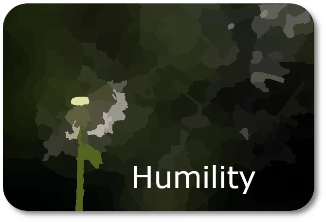 Seeds of Humilty