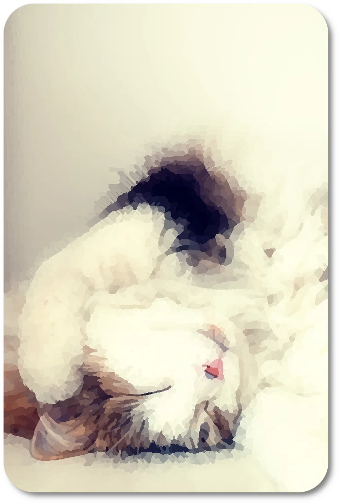 WC Dream 01 WC Dream 01