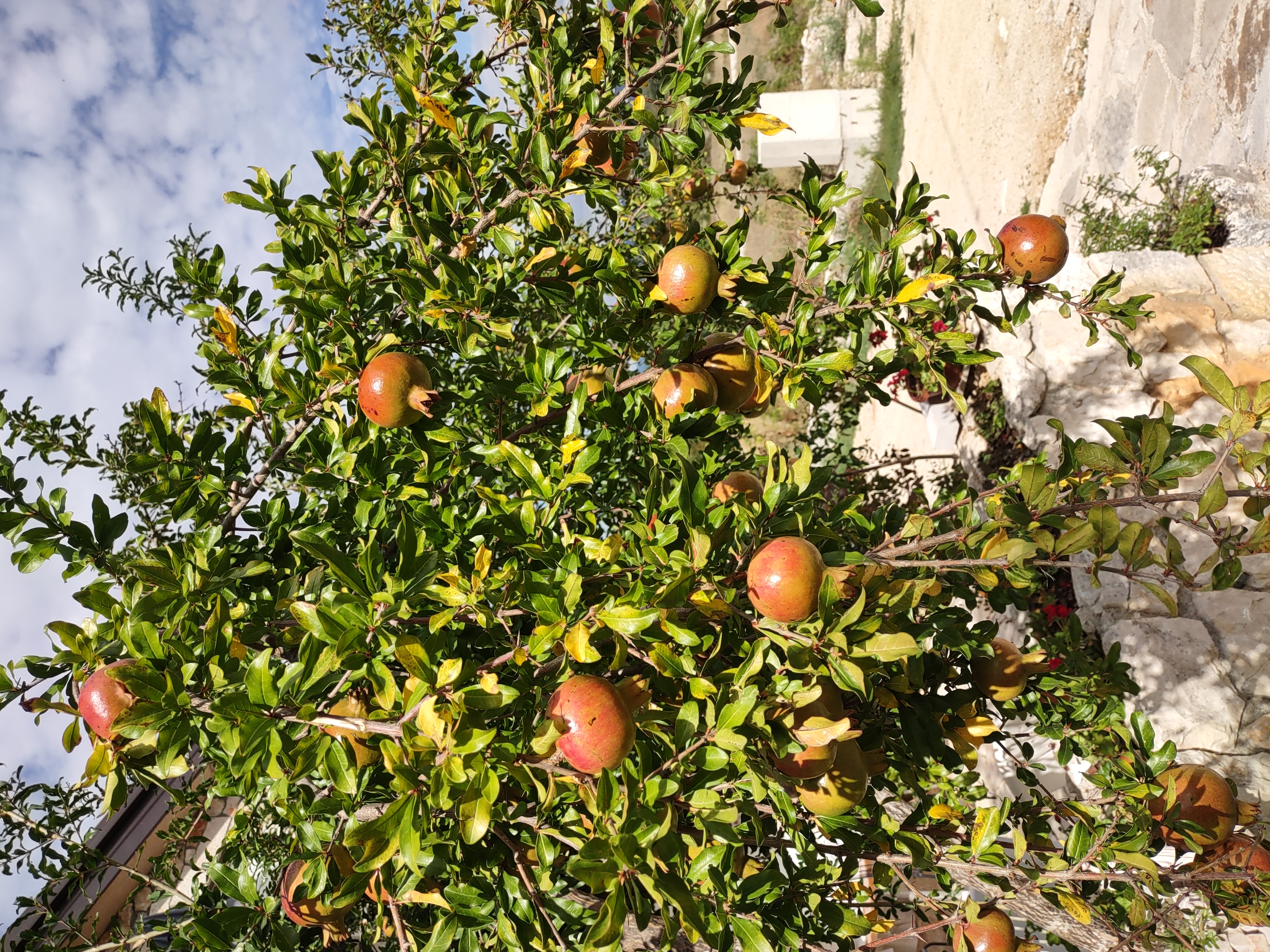 med Walk to Church 802