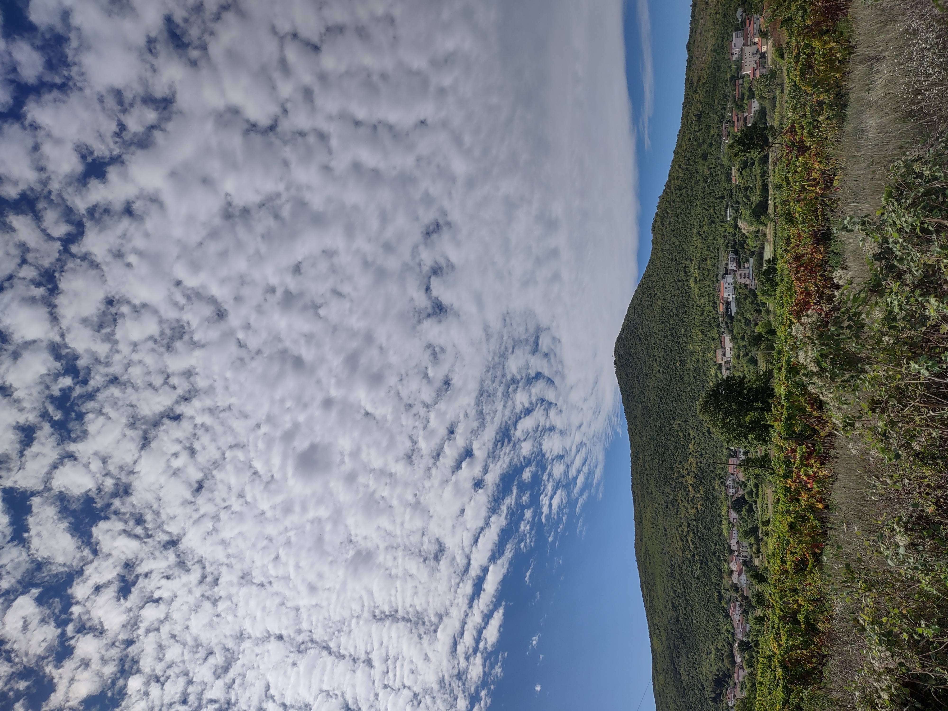 med Walk to Church 807