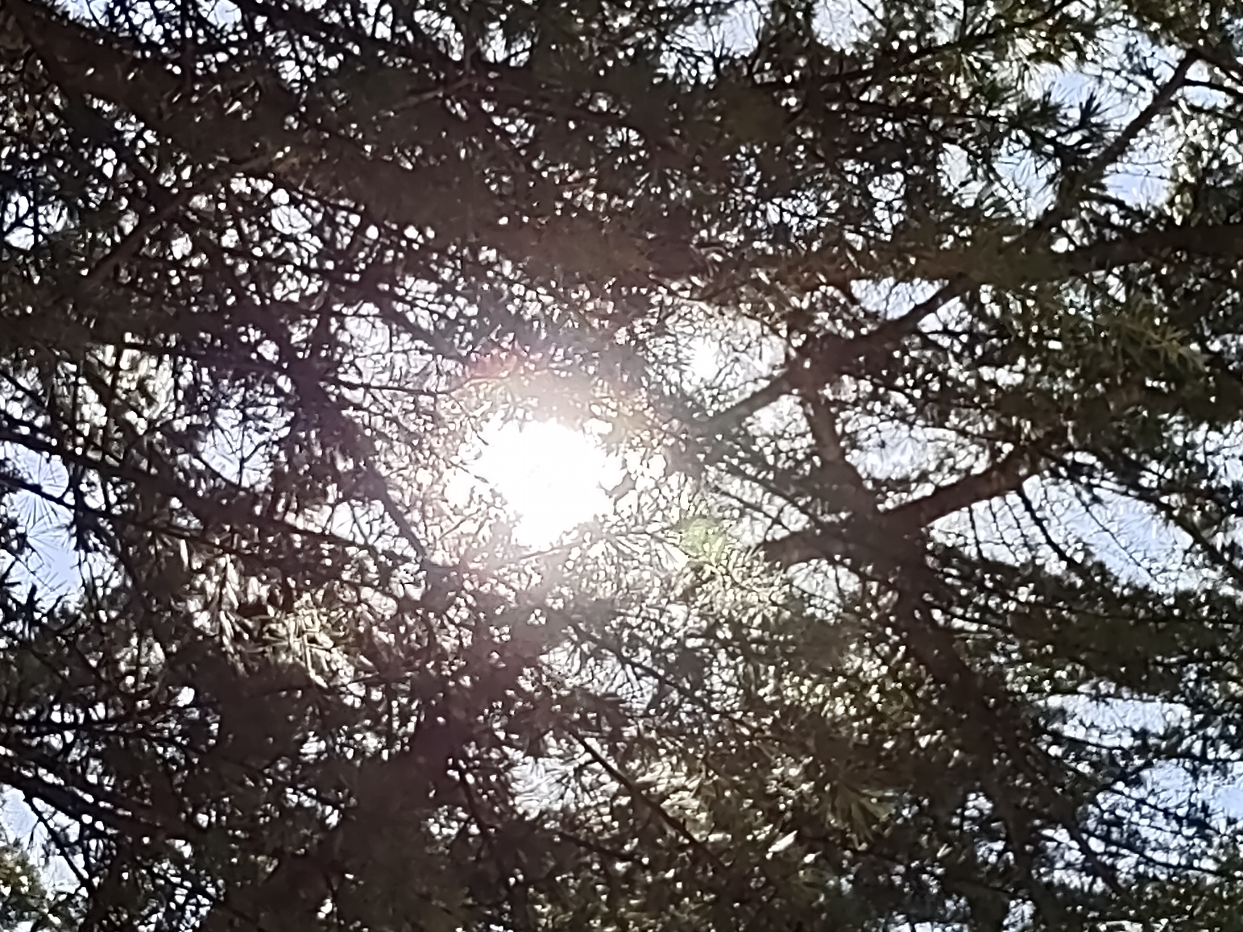 med Walk to Church 820