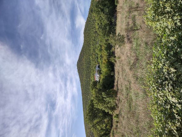 Medjugorje Angel Stay