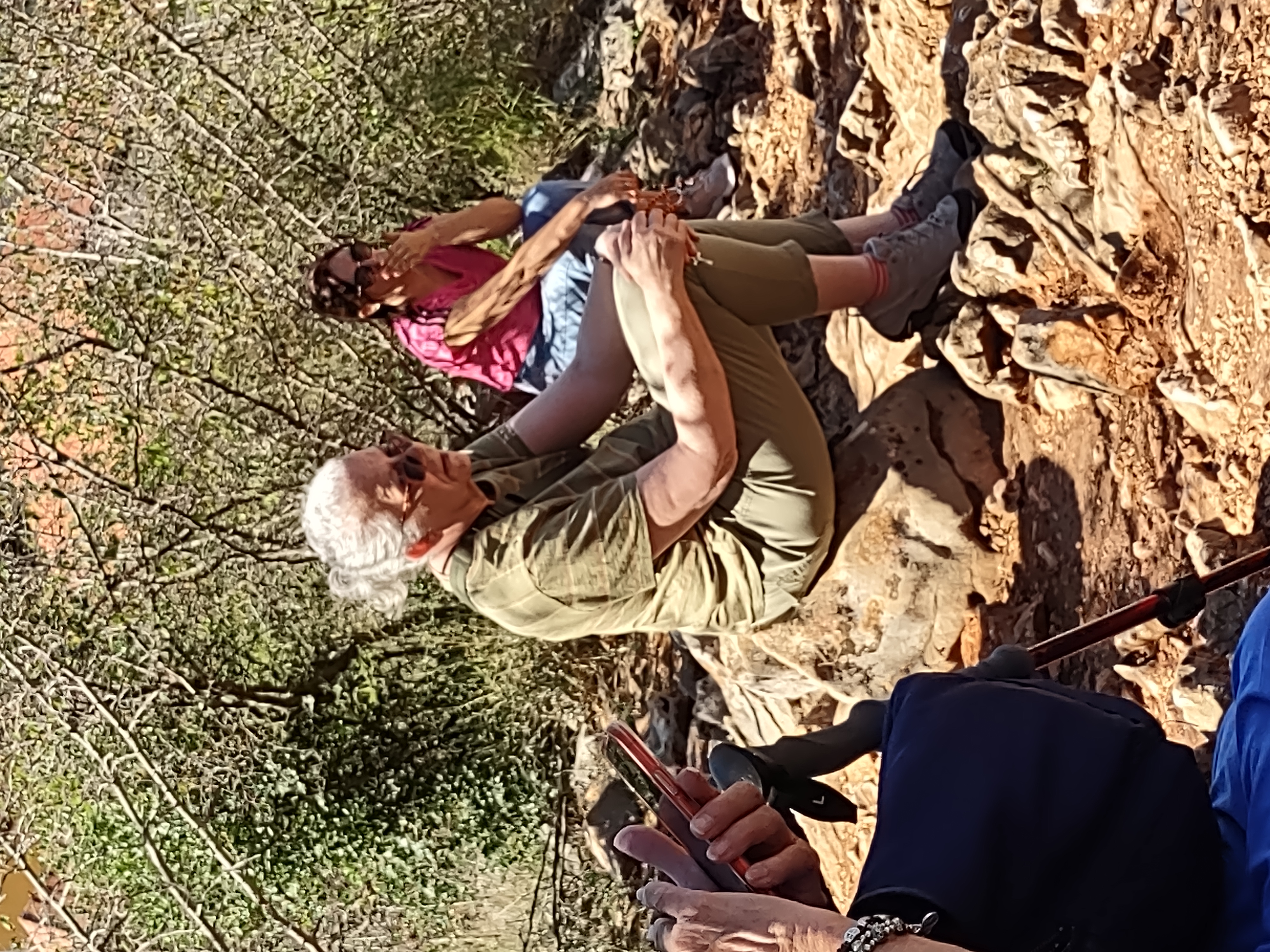 med apparition hill 603