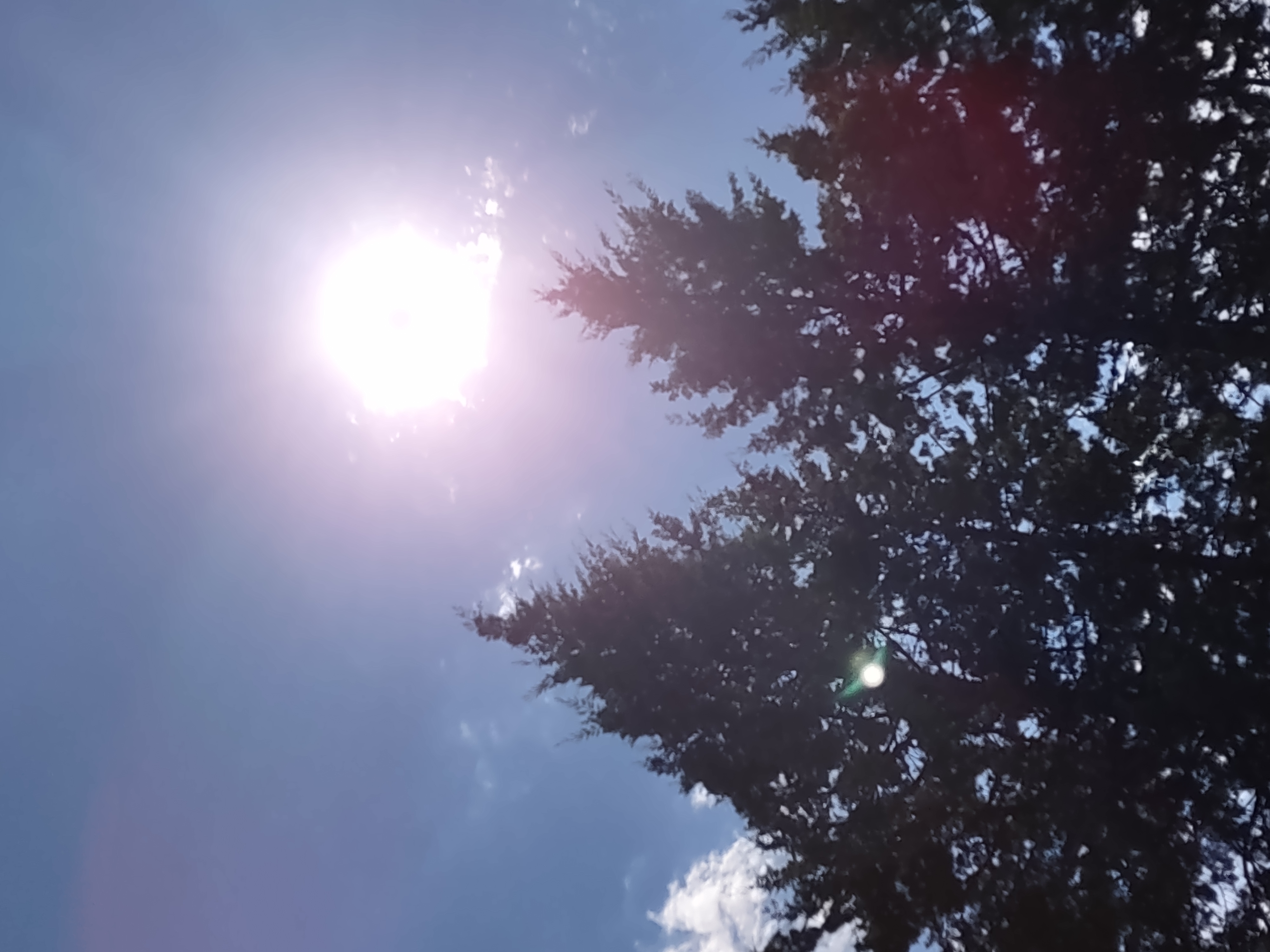 med Chapel of Life Park 701