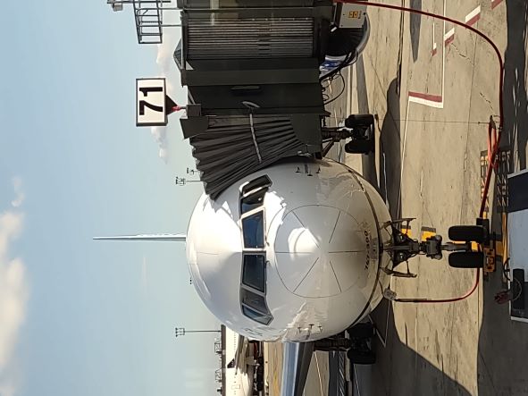 Medjugorje Angel Arriving Flight