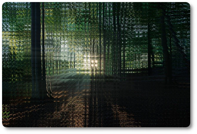 Mary Pilgrimage 42 Mary Pilgrimage 42