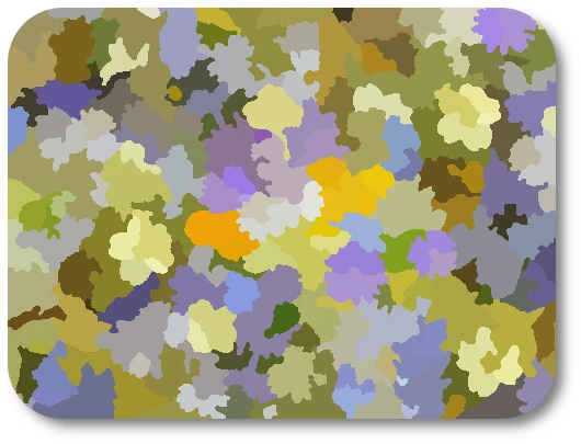 WC Flowers c WC Flowers c