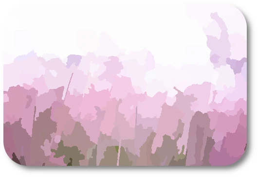WC Flowers e WC Flowers e