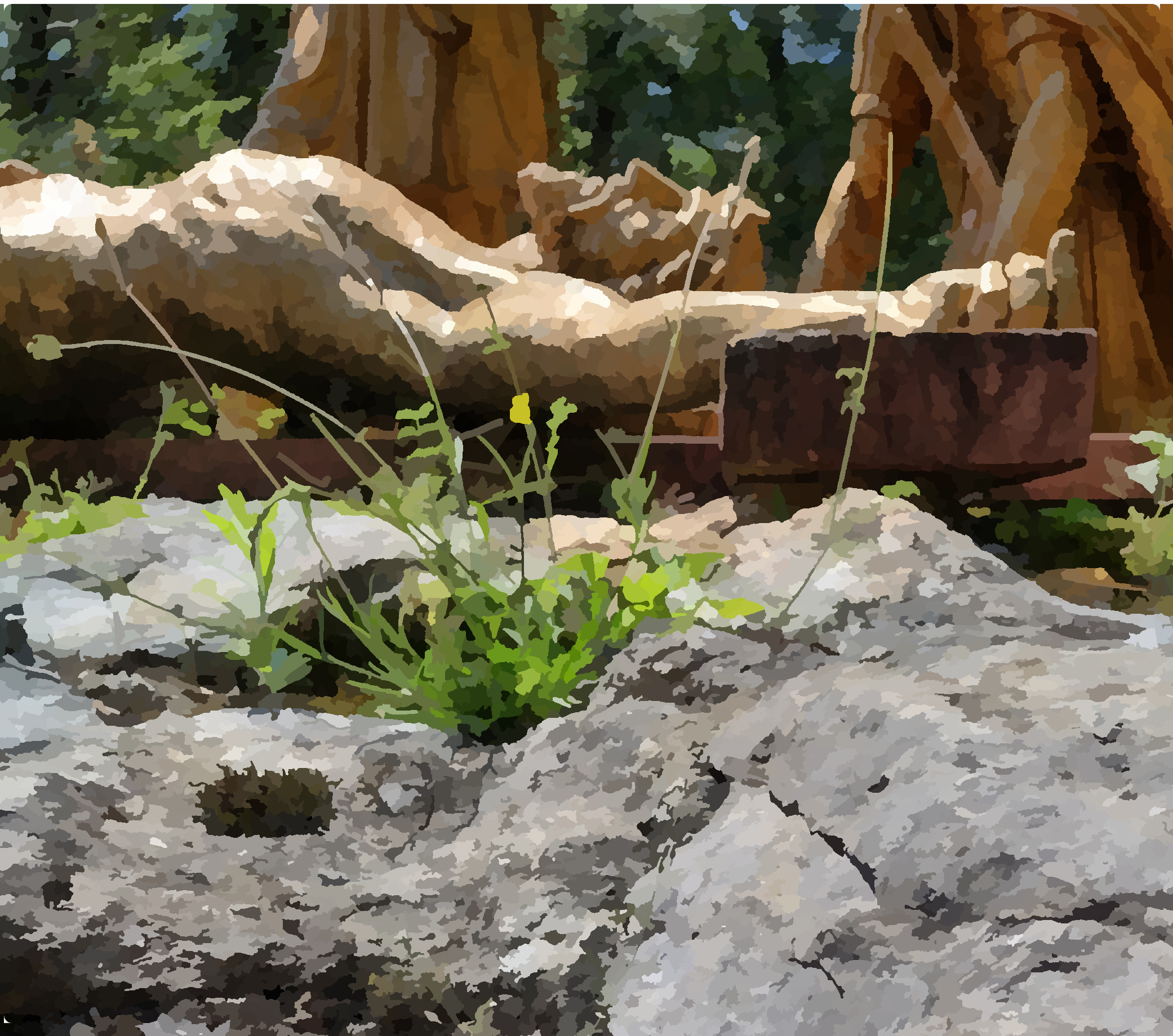 WC seven sorrow - nailed