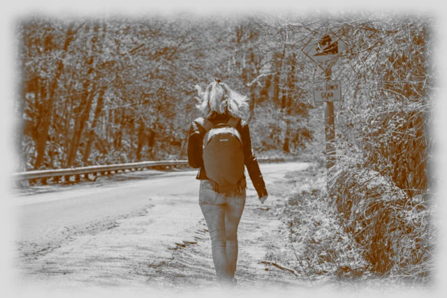 Mysteries of the Rosary meditation