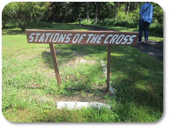 The serene wooded path leading to the Blue Army Shrine Stations of the Cross
