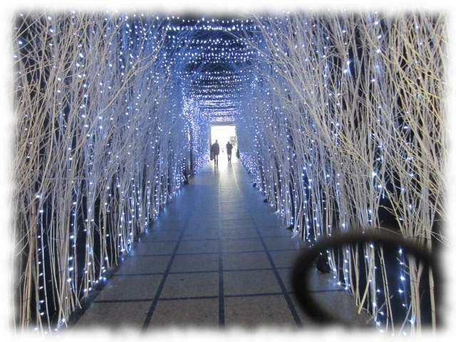 Medjugorje Linda's pilgrimage