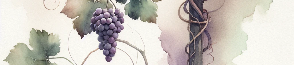 Watercolor reflection on union with Christ