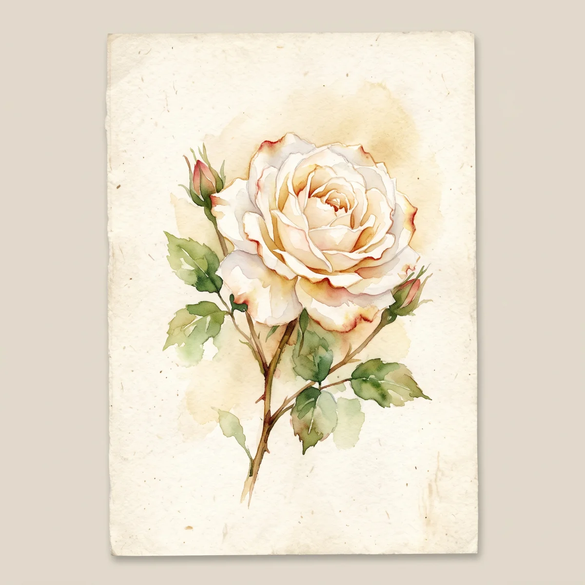 Watercolor painting of one full-blown white rose tinged with red-gold on aged parchment, symbolizing the Resurrection, the first Glorious Mystery